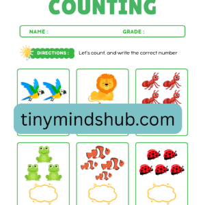 Animal Counting