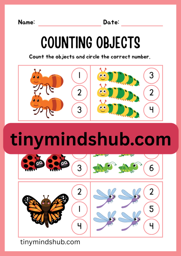 Counting Objects