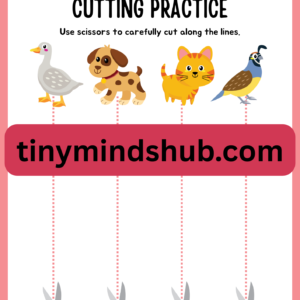 Cutting Practice -2