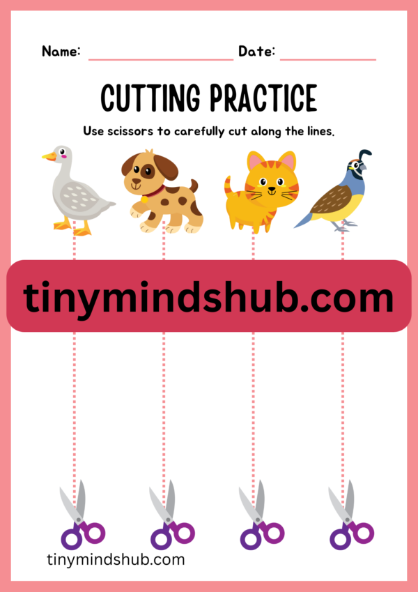 Cutting Practice -2