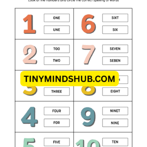 Circle Number Name
