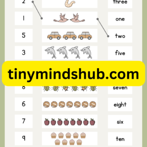 Match Number Names