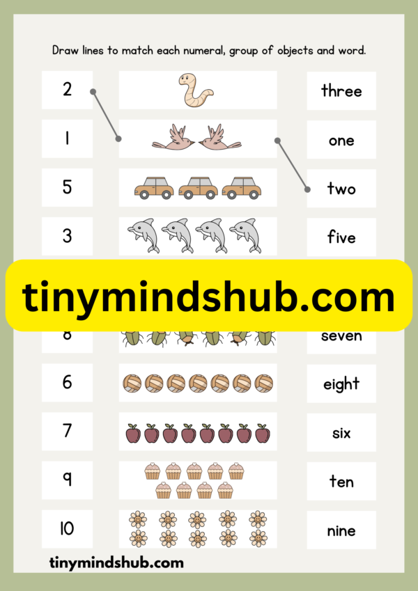 Match Number Names